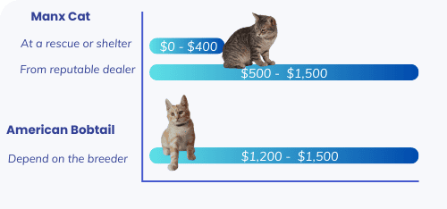 cats-price-comparisons