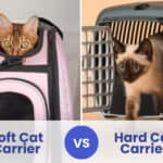 soft vs hard cat carrier