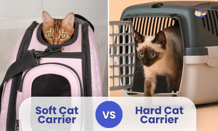 soft vs hard cat carrier