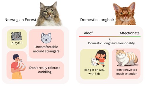 Personality-of-Norwegian-Forest-vs-Domestic-Longhairs