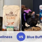 wellness vs blue buffalo cat food