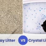 clay vs crystal litter