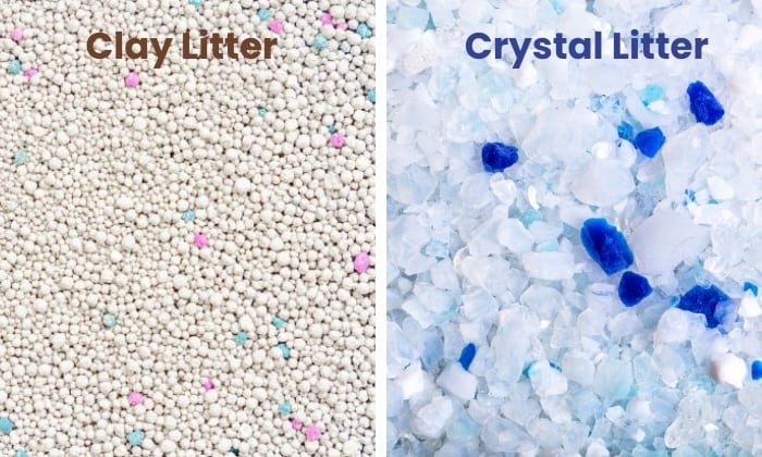 is-crystal-litter-better-than-clay
