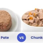 pate vs chunks cat food